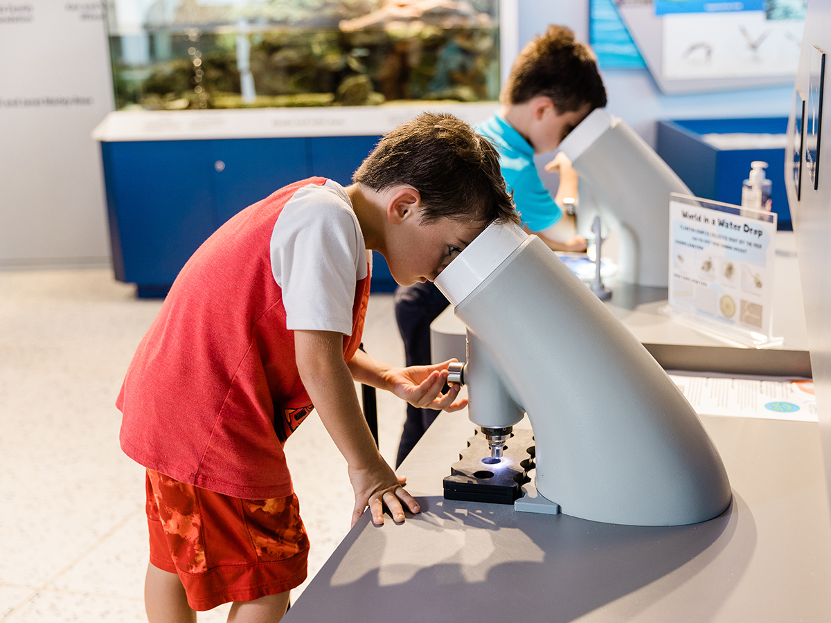 boy looking through a giant microscope